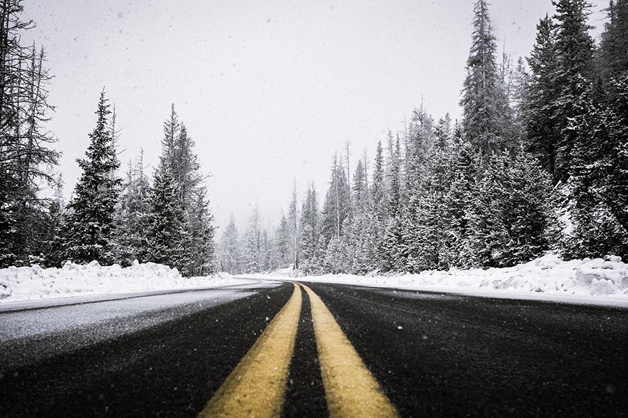 FORS Winter Driving Guide